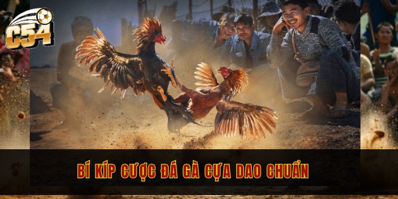 Bí kíp cược đá gà cựa dao chuẩn 